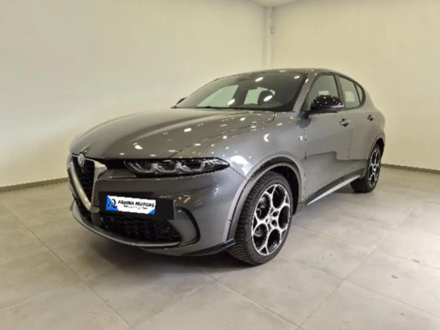 Alfa Romeo Tonale 1.6 diesel 130 CV TCT6 TI N1 Autocarro Grijs - 1