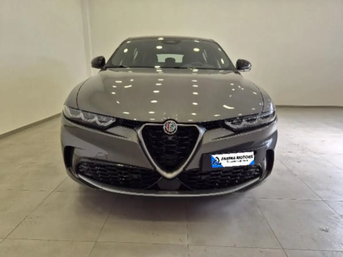 Alfa Romeo Tonale 1.6 diesel 130 CV TCT6 TI N1 Autocarro Grijs - 2