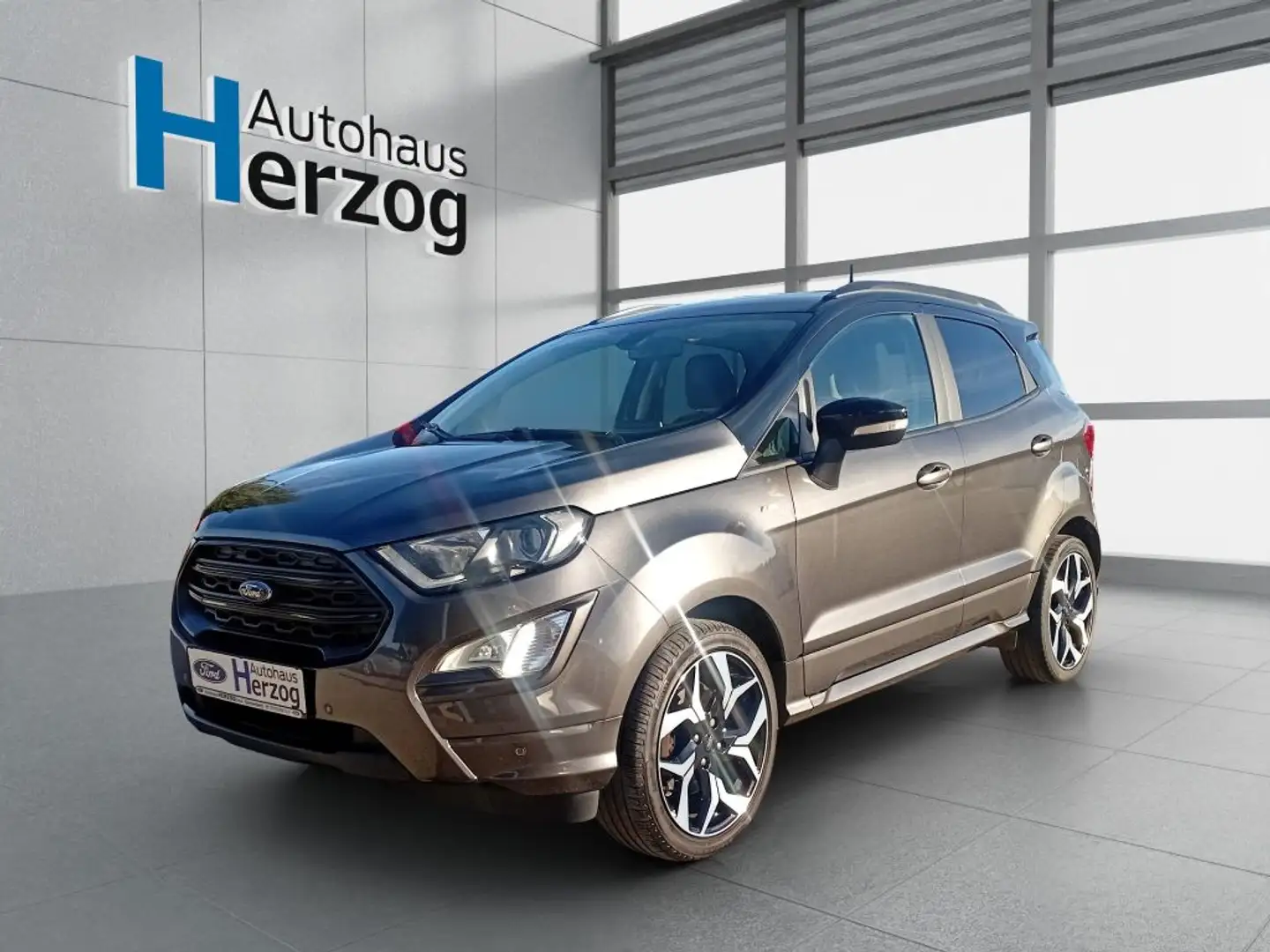 Ford EcoSport 1.0 EcoBoost ST-LINE Grau - 1