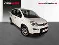 Fiat Panda 1.0 70CV Hybrid Blanco - thumbnail 3