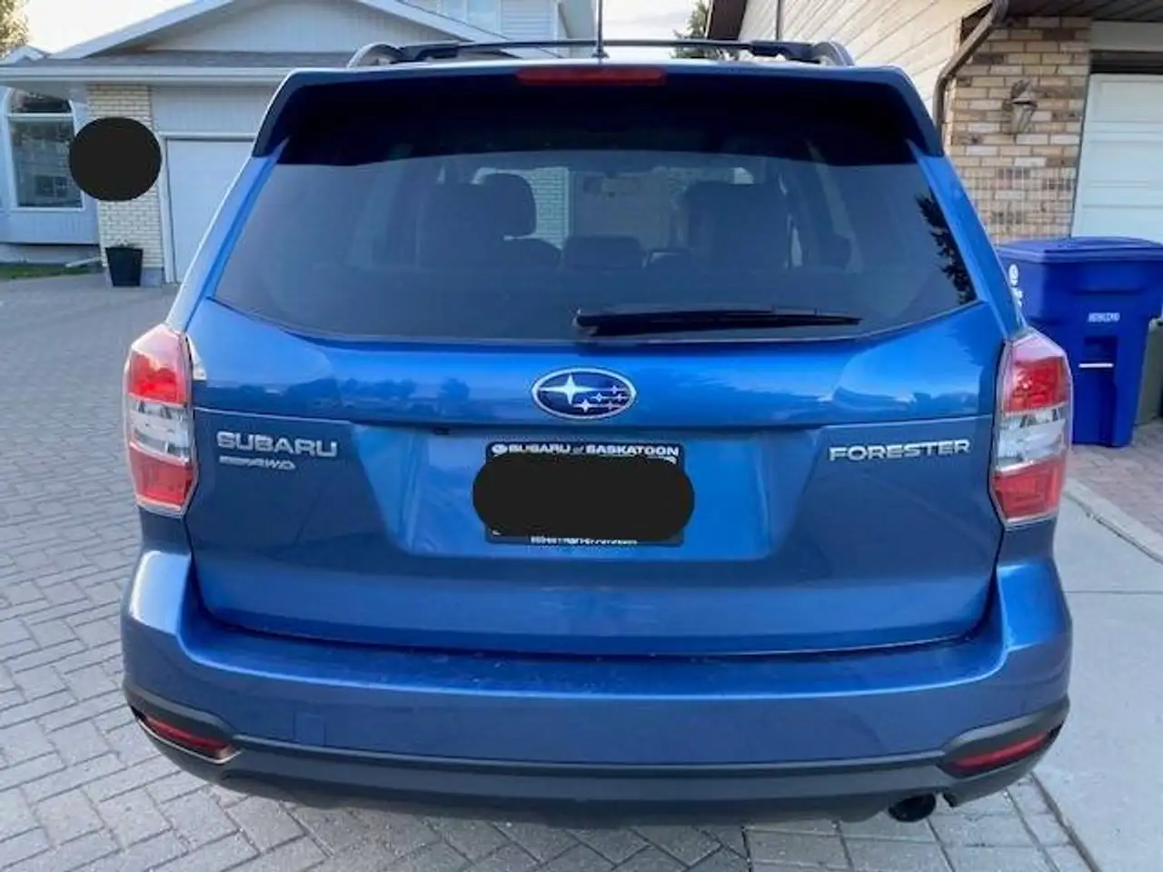 Subaru Forester fotografie Subaru Forester