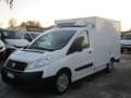 Fiat Scudo 2.0 M-JET 130CV FRIGO FRCX -20° 01/2028 PARATIA Bianco - thumbnail 3