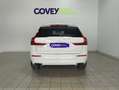 Volvo XC60 T6 Twin Recharge Inscription Expression Blanco - thumbnail 4
