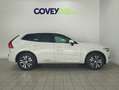 Volvo XC60 T6 Twin Recharge Inscription Expression Blanco - thumbnail 5