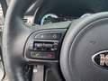 Kia Niro 1.6 GDi Hybrid 141pk DCT6 ExecutiveLine | Stoelkoe Gris - thumbnail 15