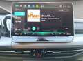 Volkswagen Golf VIII 1.5 TSI Life AHK GJR SHZ PDC ACC Grau - thumbnail 18