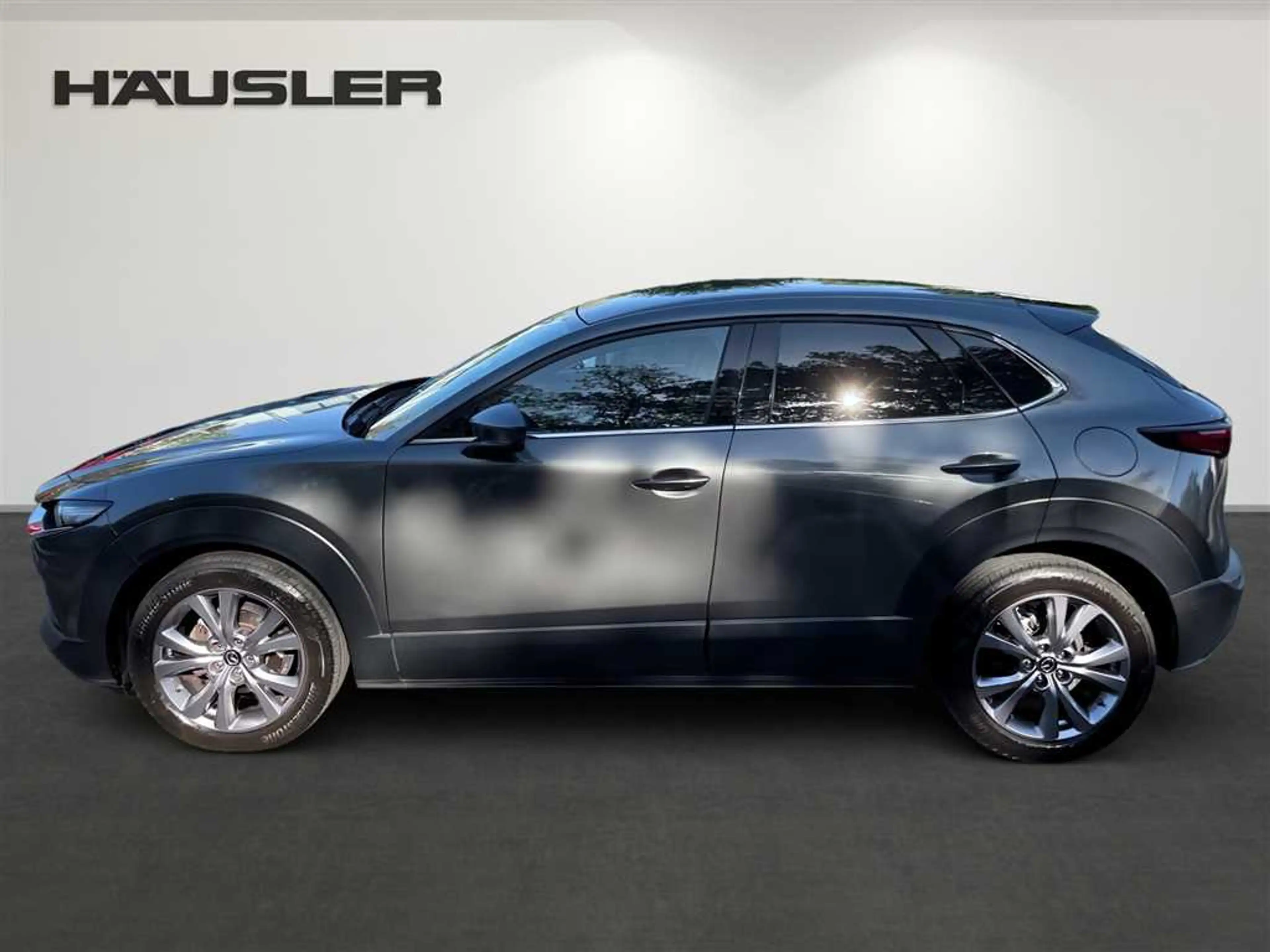 Mazda CX-30 2.0 M Hybrid Selection 360 Kamera Head UP Matrix L — photo 6