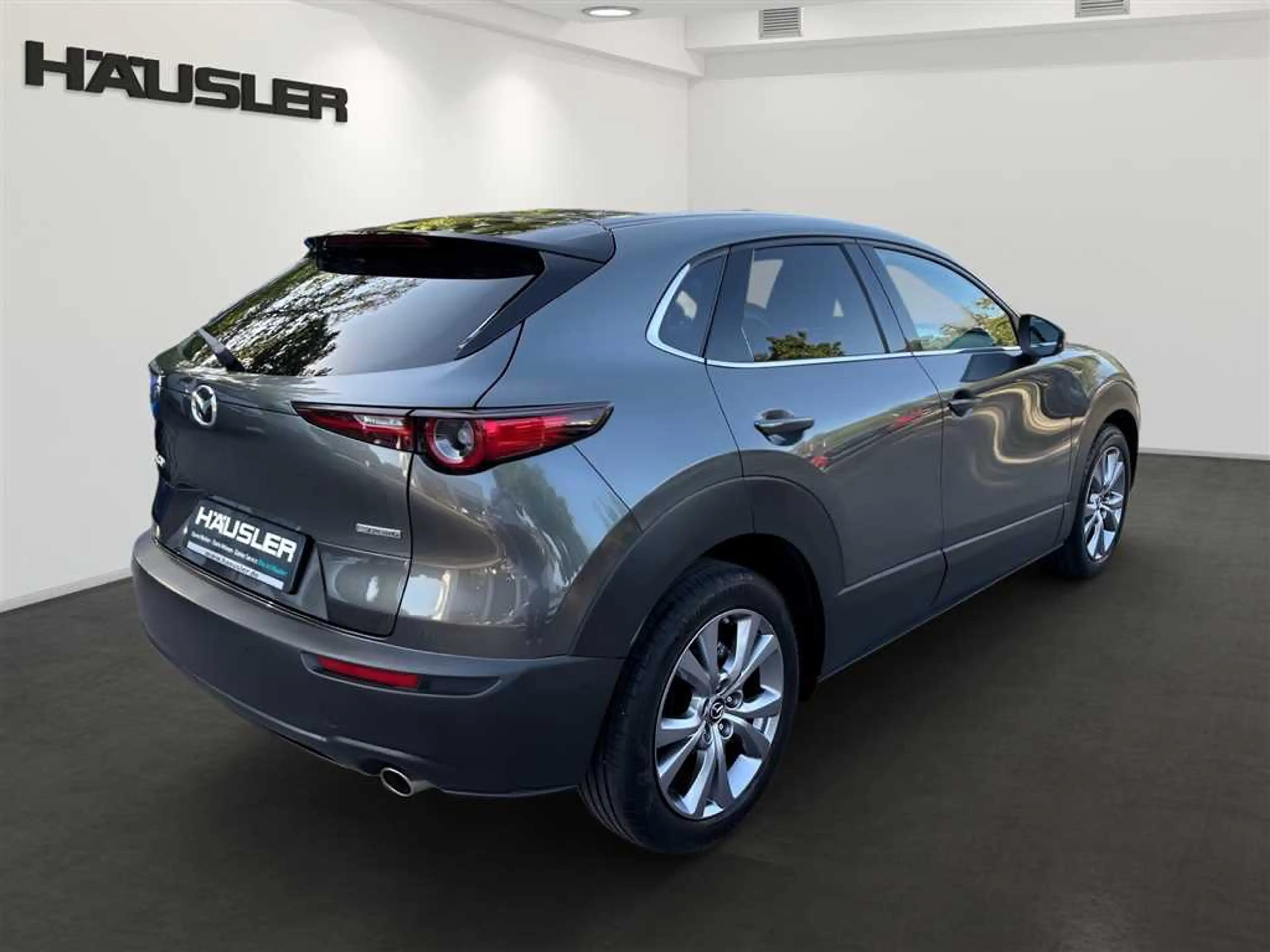 Mazda CX-30 2.0 M Hybrid Selection 360 Kamera Head UP Matrix L — photo 4