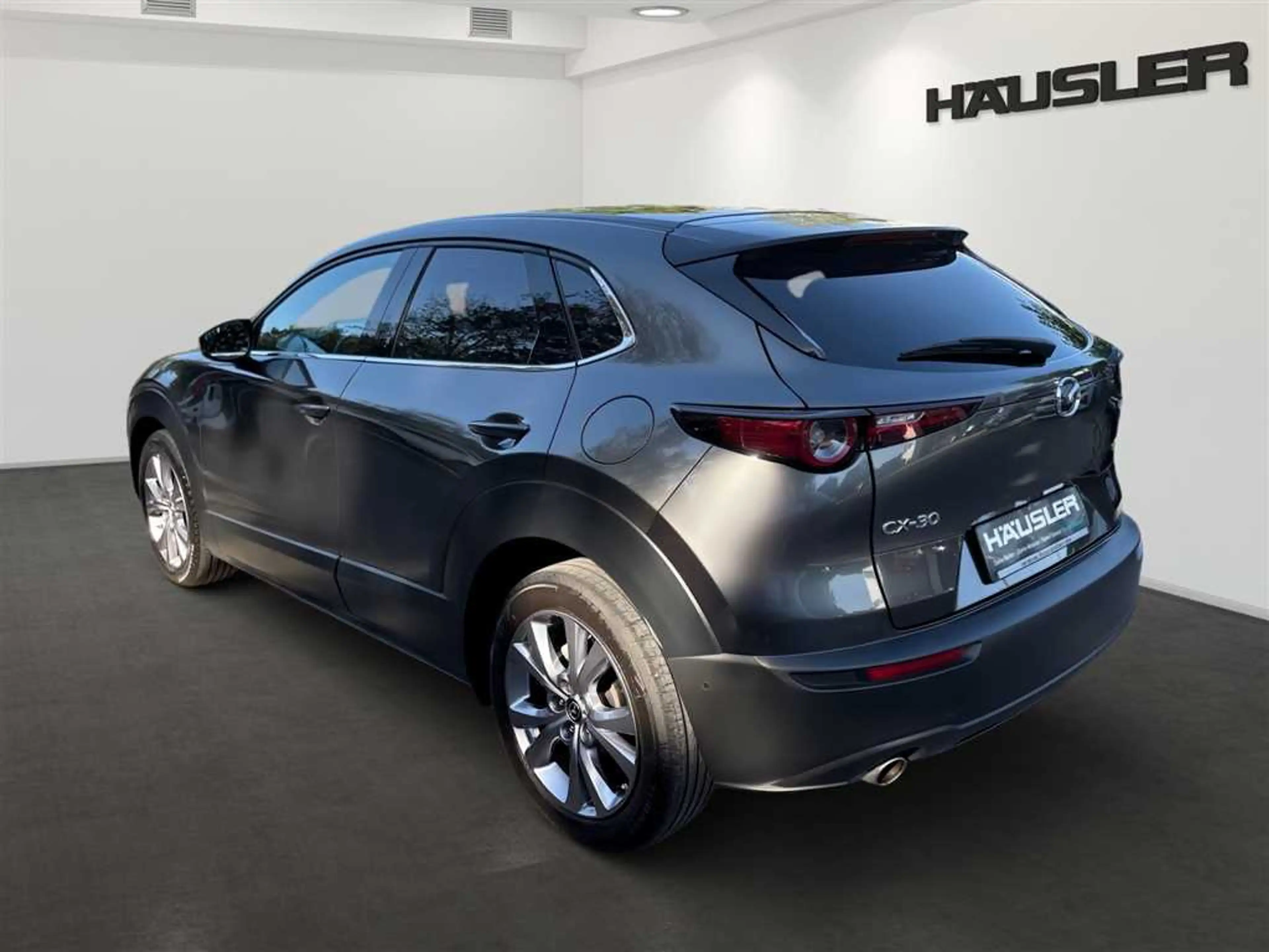 Mazda CX-30 2.0 M Hybrid Selection 360 Kamera Head UP Matrix L — photo 5