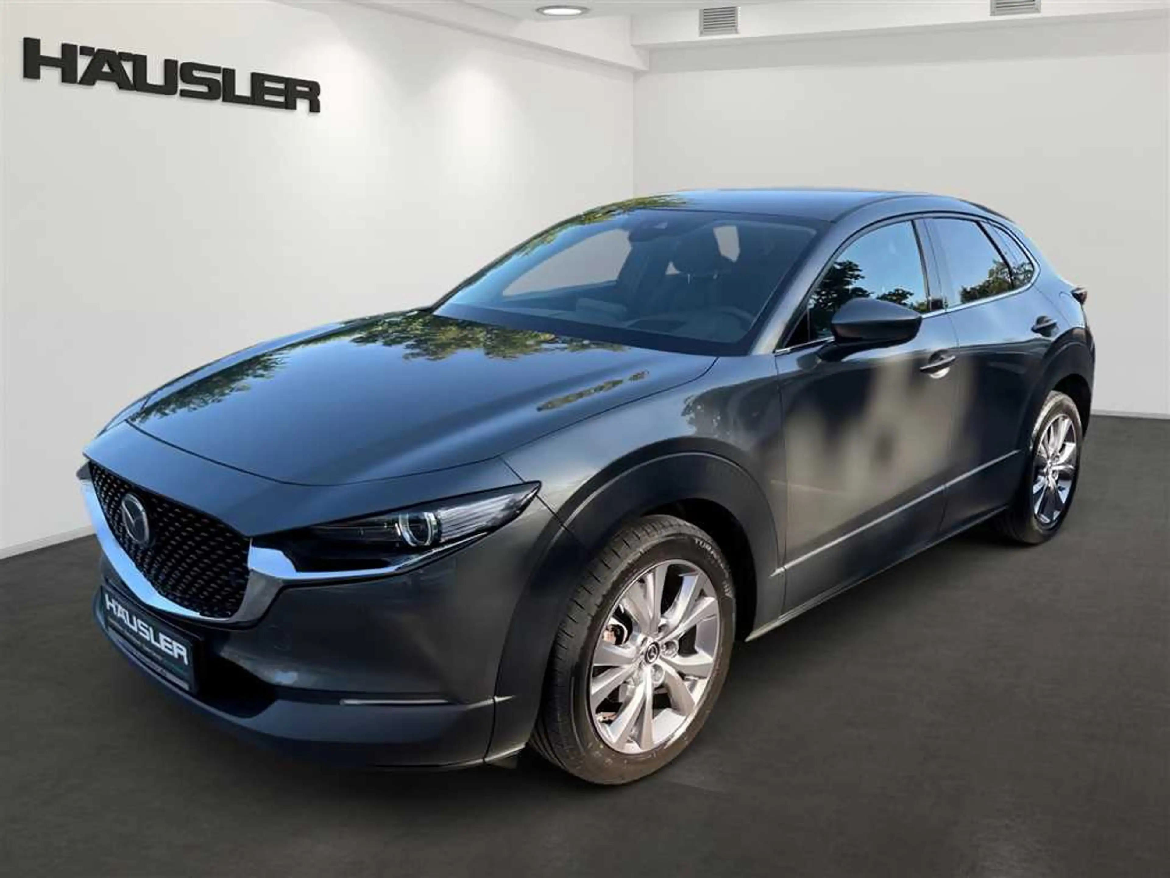 Mazda CX-30 2.0 M Hybrid Selection 360 Kamera Head UP Matrix L