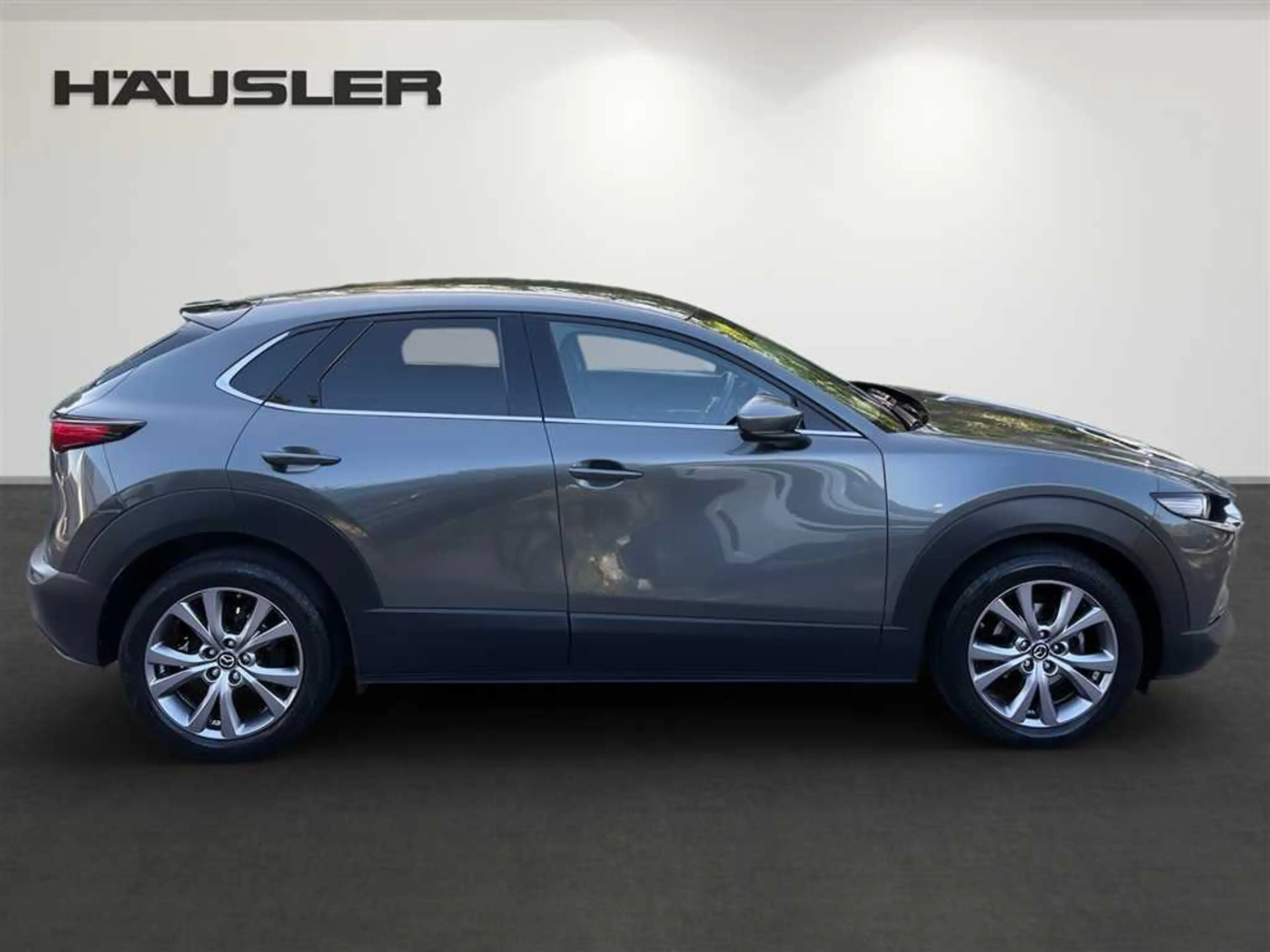 Mazda CX-30 2.0 M Hybrid Selection 360 Kamera Head UP Matrix L — photo 3