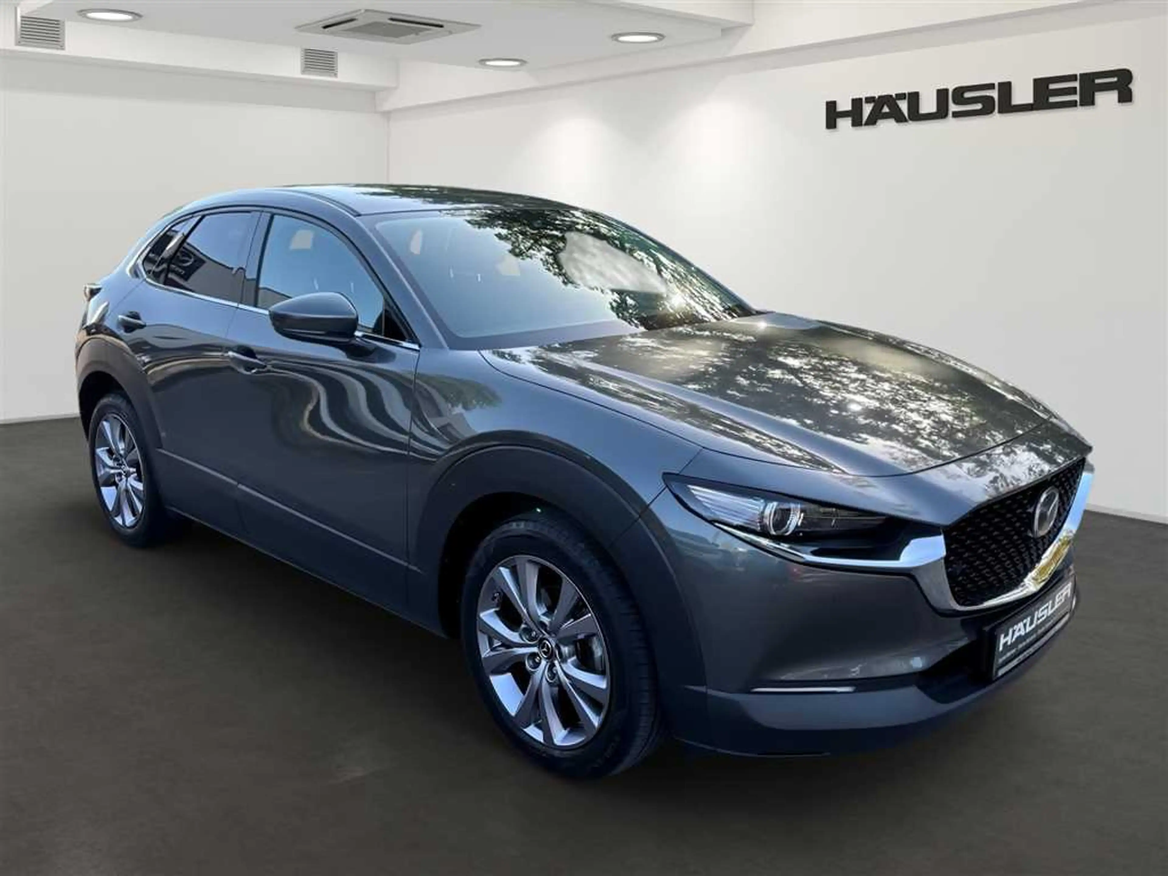 Mazda CX-30 2.0 M Hybrid Selection 360 Kamera Head UP Matrix L — photo 2