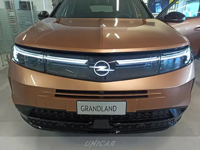 Opel Grandland view 6
