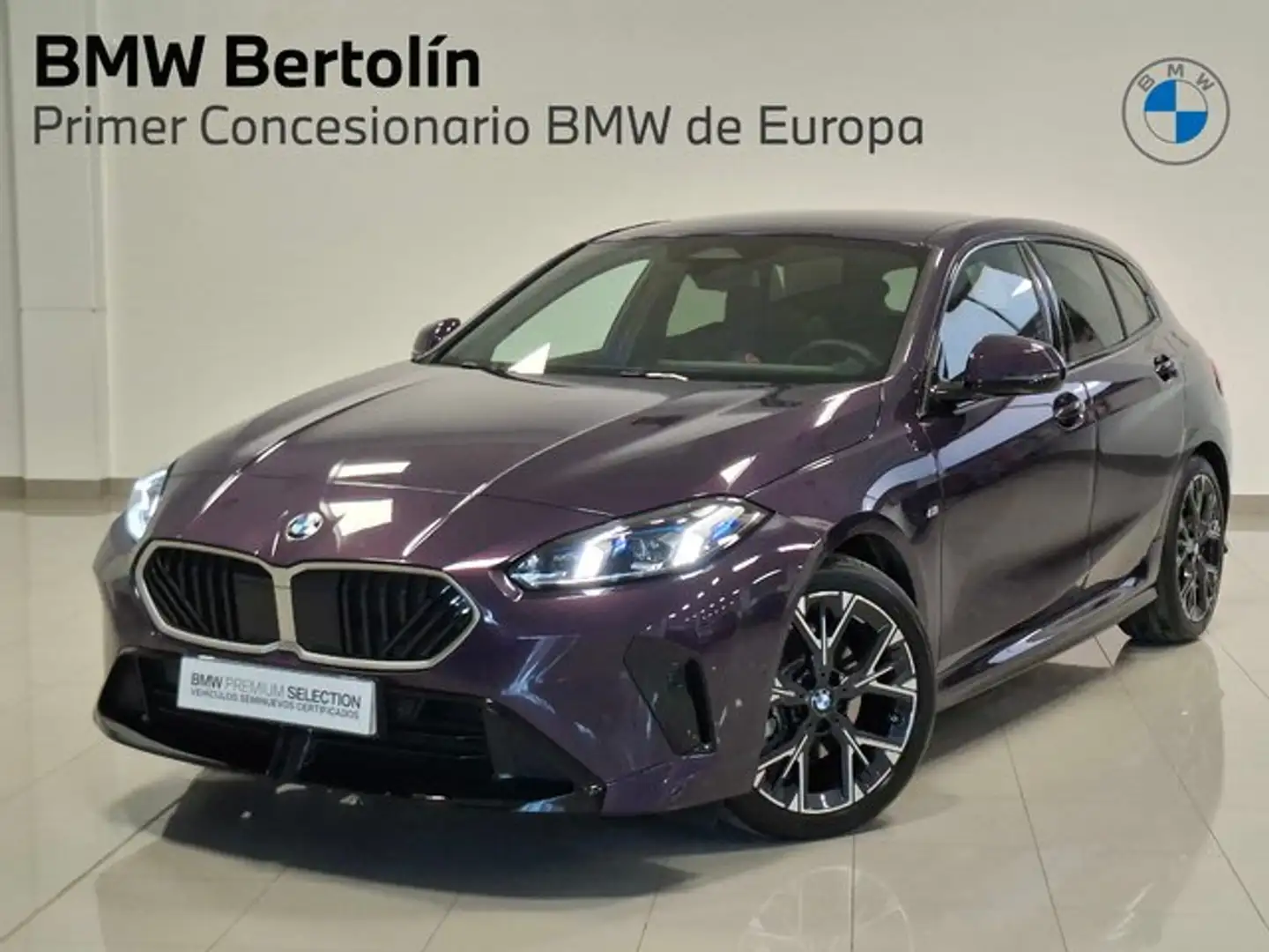 BMW 116 120dA Burdeos - 1