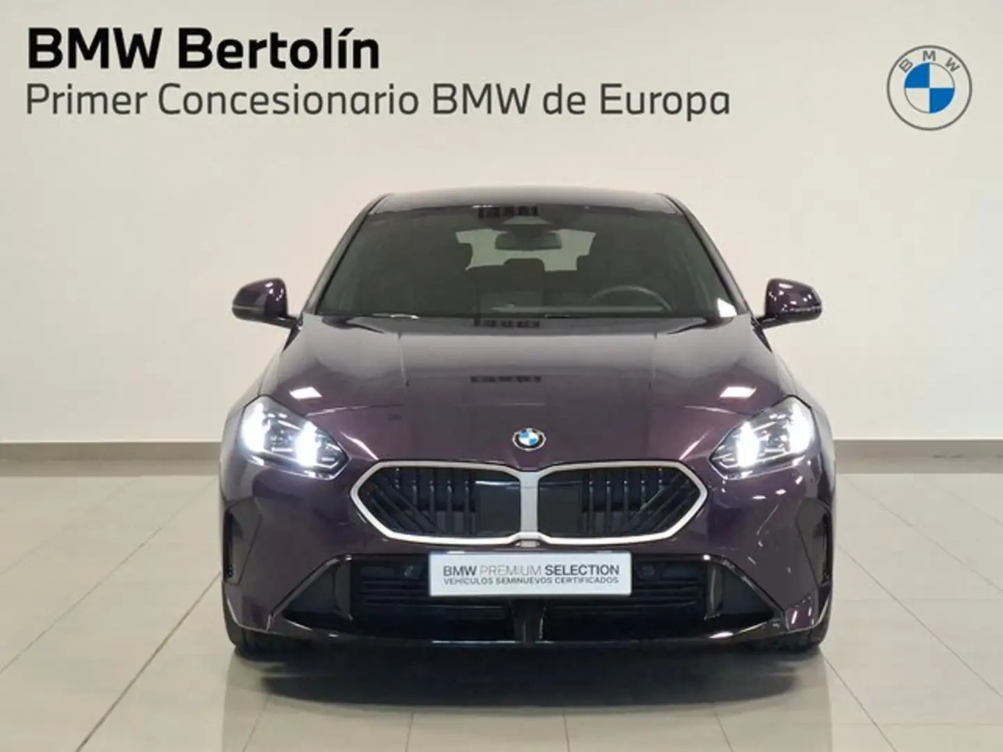 BMW 116 120dA Burdeos - 2