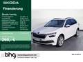 Skoda Kamiq 1.5 TSI DSG Clever Wit - thumbnail 1