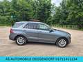 Mercedes-Benz GLE 250 d 4Matic-AHK-LED-SHZ-KAMERA-EURO6 Grau - thumbnail 9