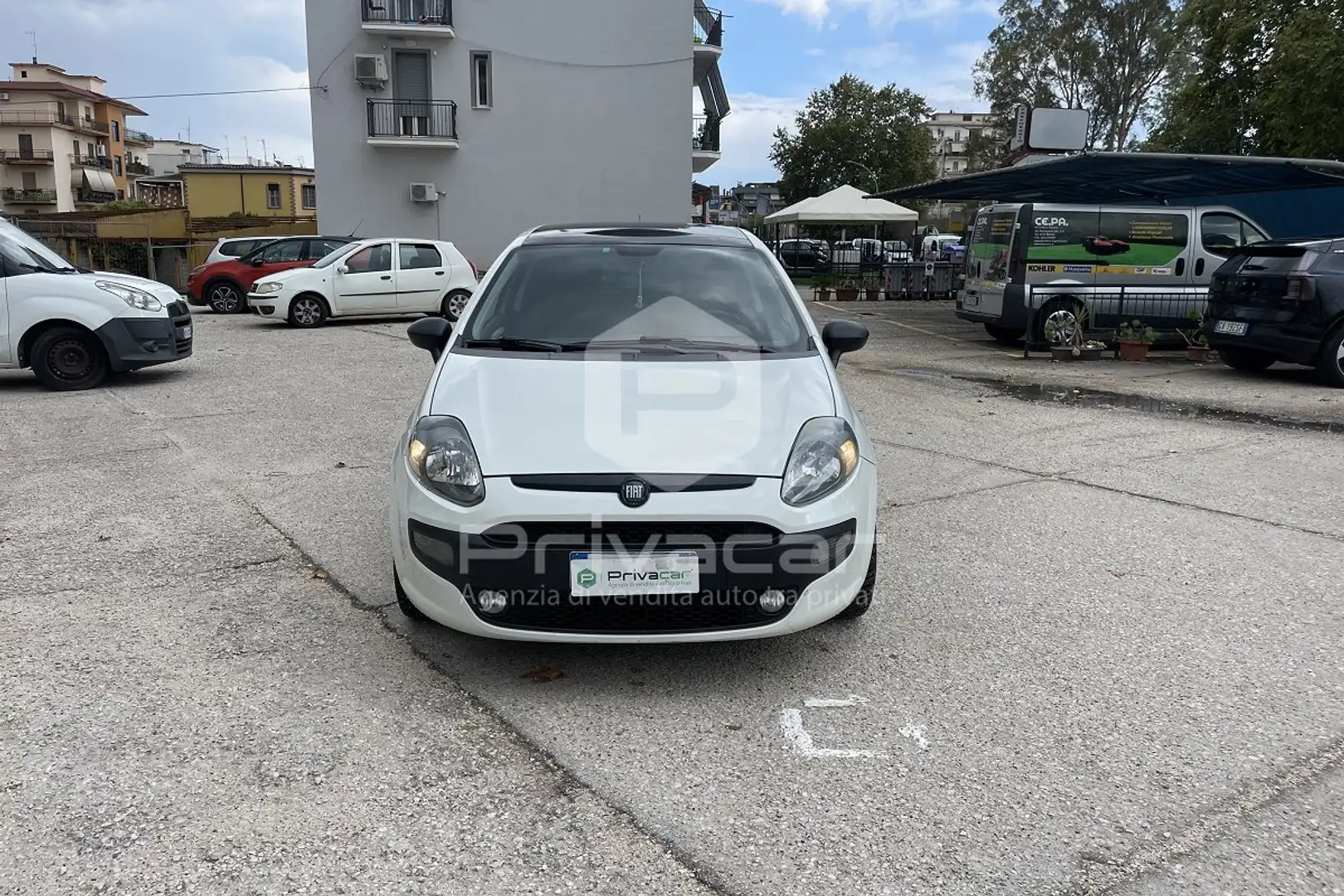 Fiat Punto Evo Punto Evo 1.4 M.Air 16V 3 porte S&S Sport Bianco - 2