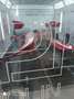 Toyota MR 2 Turbo Import USDM - Restauro totale Rosso - thumbnail 4