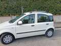 Fiat Panda 1.2 Active Gpl - thumbnail 7