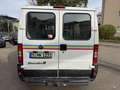 Fiat Ducato 2.0 Radstand 320, TÜV NEU, AHK Weiß - thumbnail 6