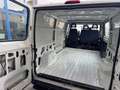 Fiat Ducato 2.0 Radstand 320, TÜV NEU, AHK Weiß - thumbnail 10