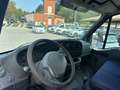 Iveco Daily 35 quintali IN PERFETTE CONDIZIONI! Bianco - thumbnail 9