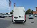 Iveco Daily 35 quintali IN PERFETTE CONDIZIONI! Bianco - thumbnail 2