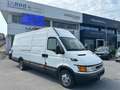 Iveco Daily 35 quintali IN PERFETTE CONDIZIONI! Bianco - thumbnail 1