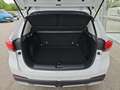 MG ZS 1.5 Hybrid+ Luxury *inkl. € 2000,-- Eintauschbo... Weiß - thumbnail 15