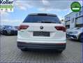 Volkswagen Tiguan Allspace 2.0 TDI DSG AHK 7 Sitze Kamera Wit - thumbnail 7