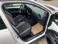 Toyota Aygo X Play 1,0-I-VVT-i*Navi/Klimaaut./SH/1.Hand Weiß - thumbnail 21