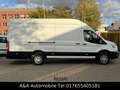Ford Transit Kasten 350 L4H3 Trend Maxi Klima 185PS Weiß - thumbnail 5