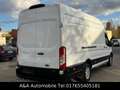 Ford Transit Kasten 350 L4H3 Trend Maxi Klima 185PS Weiß - thumbnail 6