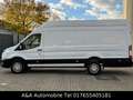 Ford Transit Kasten 350 L4H3 Trend Maxi Klima 185PS Weiß - thumbnail 9
