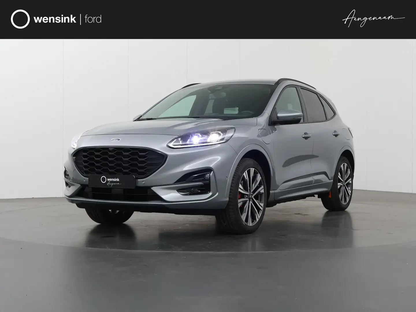 Ford Kuga 2.5 PHEV ST-Line X | St Styling Pack | Head-Up | P Grijs - 1
