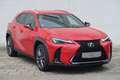 Lexus UX 300h UX 300h F SPORT Design Rouge - thumbnail 7