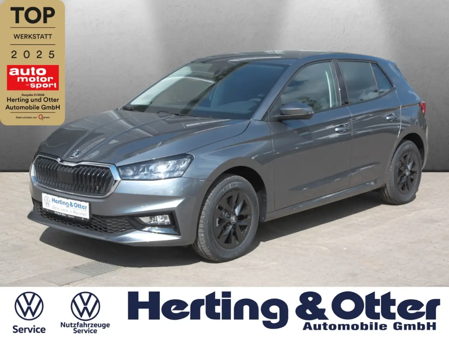 Skoda Fabia Black-Edition Kamera LED  APP-Connect AHK-Vorb.SHZ Gris - 1