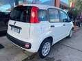 Fiat Panda Van 4 posti 1.2 Easy 69cv 4p.ti serie 3 E6d-temp Wit - thumbnail 5