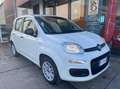 Fiat Panda Van 4 posti 1.2 Easy 69cv 4p.ti serie 3 E6d-temp Bianco - thumbnail 3