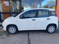 Fiat Panda Van 4 posti 1.2 Easy 69cv 4p.ti serie 3 E6d-temp Blanc - thumbnail 8