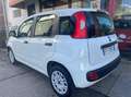 Fiat Panda Van 4 posti 1.2 Easy 69cv 4p.ti serie 3 E6d-temp Wit - thumbnail 7