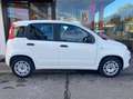 Fiat Panda Van 4 posti 1.2 Easy 69cv 4p.ti serie 3 E6d-temp Blanc - thumbnail 4
