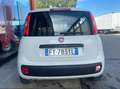 Fiat Panda Van 4 posti 1.2 Easy 69cv 4p.ti serie 3 E6d-temp Bianco - thumbnail 6