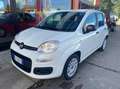 Fiat Panda Van 4 posti 1.2 Easy 69cv 4p.ti serie 3 E6d-temp Bianco - thumbnail 1