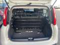 Fiat Panda Van 4 posti 1.2 Easy 69cv 4p.ti serie 3 E6d-temp Bianco - thumbnail 9