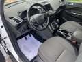 Ford C-Max 1.5TDCi Titanium 120 Blanc - thumbnail 11
