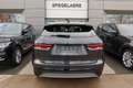 Jaguar F-Pace R-DYNAMIC S Daginschrijving Gris - thumbnail 8