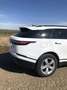 Land Rover Range Rover Velar 2.0D R-Dynamic SE 4WD Aut. 180 Blanc - thumbnail 7