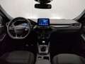 Ford Kuga 1.5 EcoBlue 120 CV 2WD ST-Line - thumbnail 11